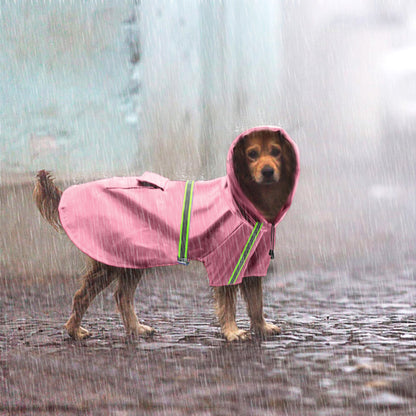Dog wearing a pink raincoat standing in the rain with a blurred background