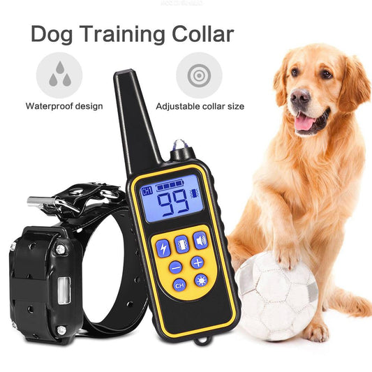 Dog training collar with digital display and adjustable size, next to a dog holding a ball.