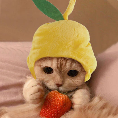 Cat wearing a yellow hat with a green leaf, holding a strawberry.