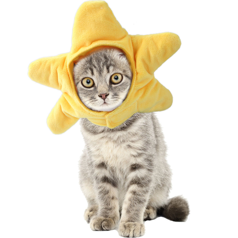 Cat wearing a yellow star-shaped costume on a white background