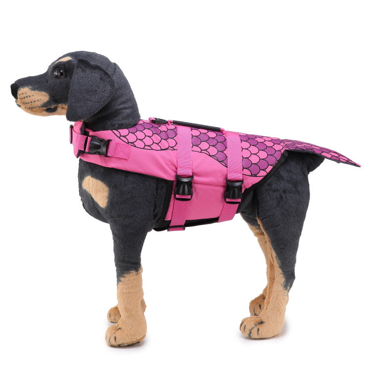 Dog wearing a pink life jacket on a white background