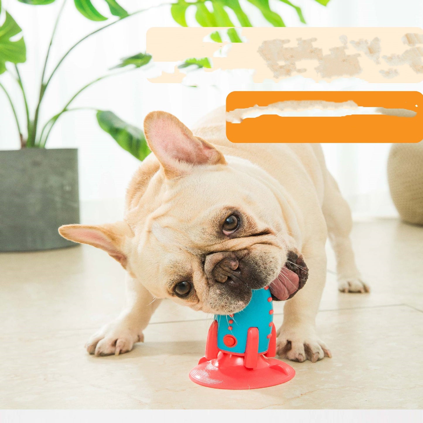 Dog wearing a blue and red collar with a suction cup on a light wooden floor.