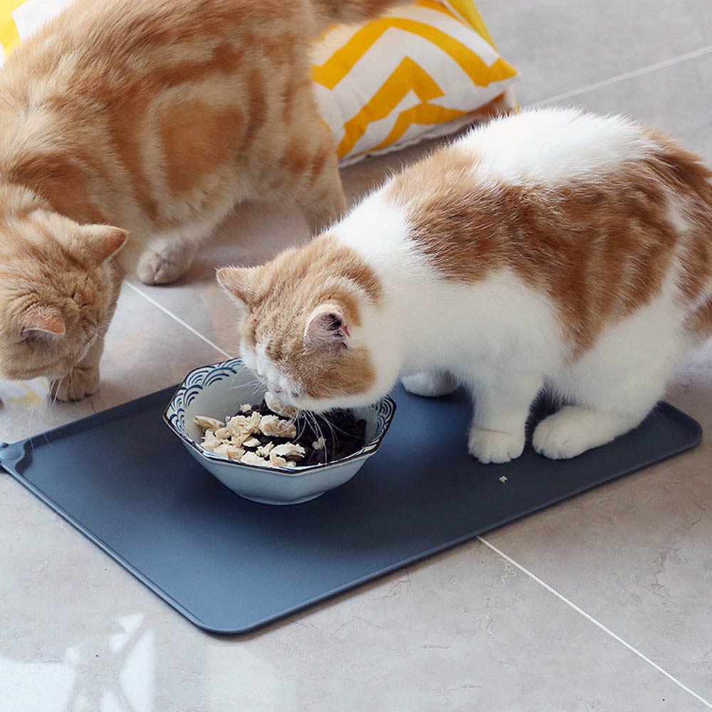 Waterproof Silicone Pet Mat