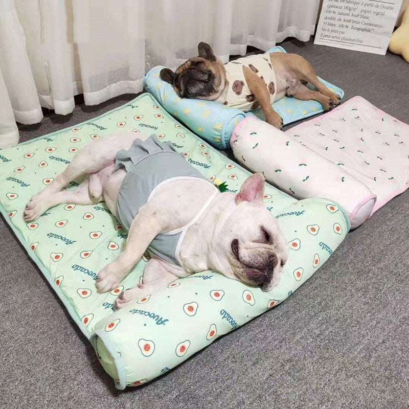Two dogs lying on patterned pet beds in a room with curtains.