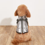 Small dog wearing a silver reflective jacket on a wooden floor.