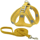 Yellow dog harness and leash set on a white background