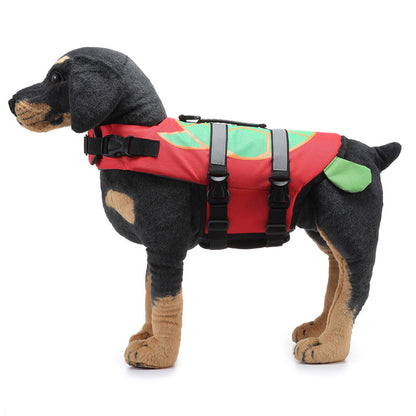 Dog wearing a red and green life jacket on a white background
