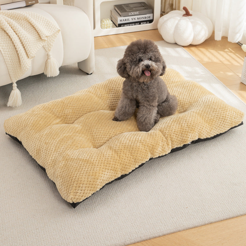 Dog sitting on a plush beige pet bed in a cozy living room.