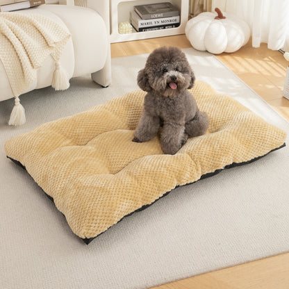 Dog sitting on a plush beige pet bed in a cozy living room.