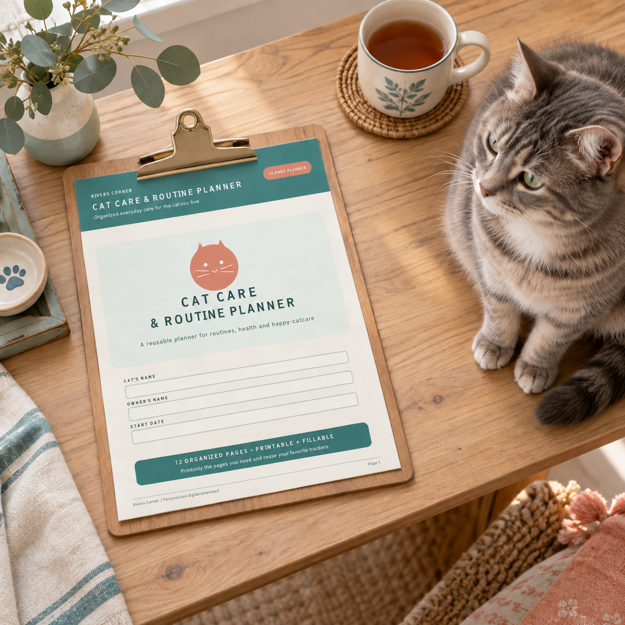 Cat Care Downloads