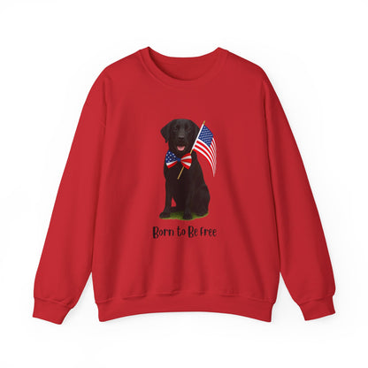 Red sweatshirt with a black dog holding an American flag and 'Born to Be Free' text on a white background