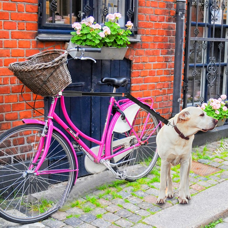 Pink bicycle with a basket and a dog standing next to it on a street.