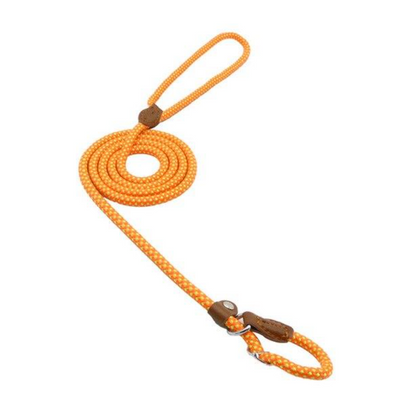 Orange dog leash with brown leather clips on a white background