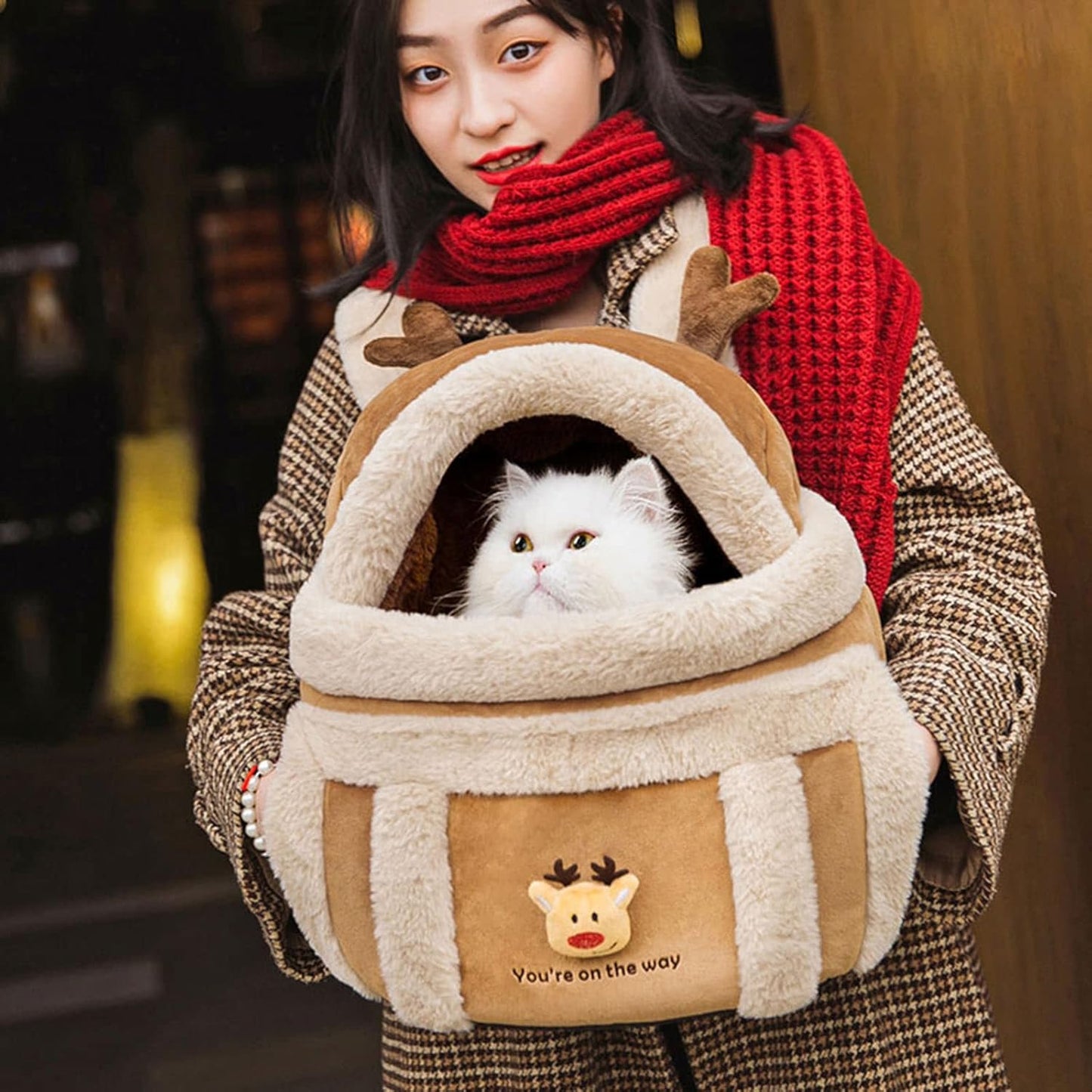 Person holding a cat in a cozy, plush carrier with a reindeer design.