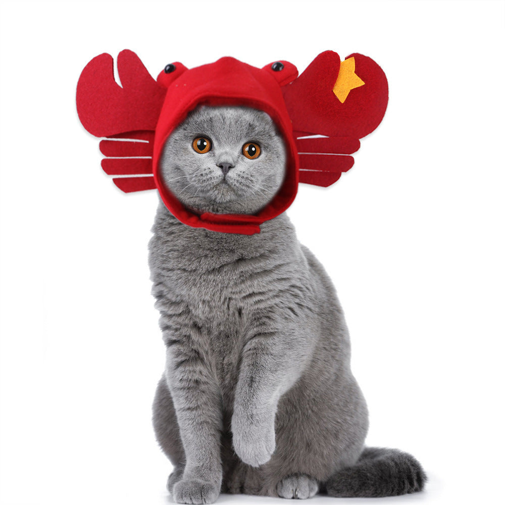 Cat wearing a red crab costume on a white background