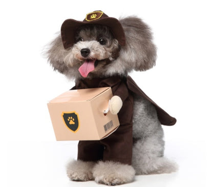 Dog in a costume holding a cardboard box on a white background