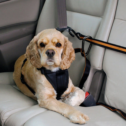 Dog wearing a harness sitting in a car seat with a seatbelt.