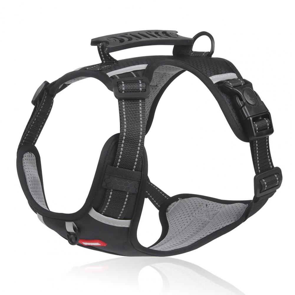 Black dog harness with reflective accents on a white background