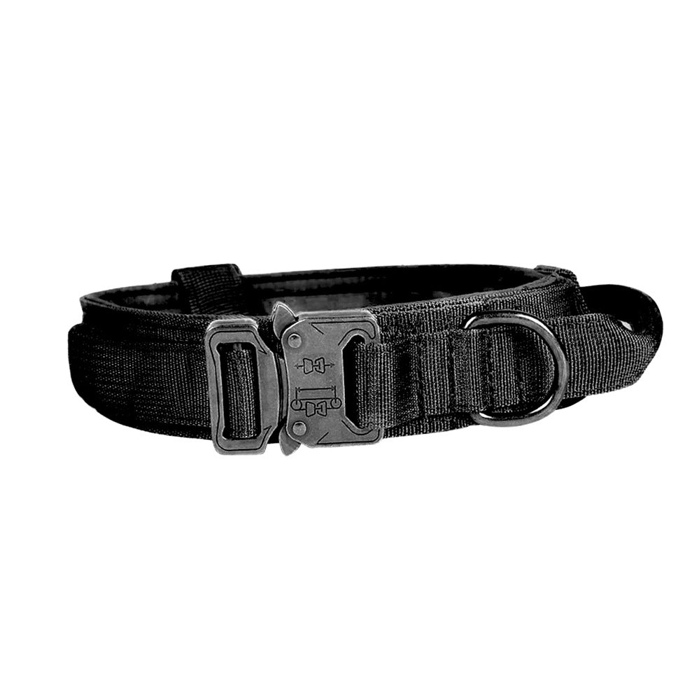 Black dog collar with a metal buckle on a white background