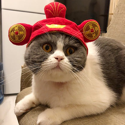 Cat wearing a red hat with gold accents on a beige surface.