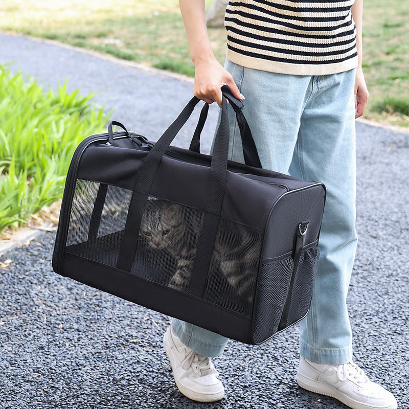 Person holding a black pet carrier with a cat inside, outdoors on a gravel path.