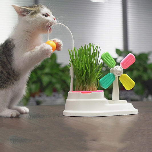Desktop Windmill Grass Box Cat Toy