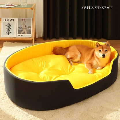Dog lying on a large yellow and black pet bed in a room with a Loewe magazine and a curtain.