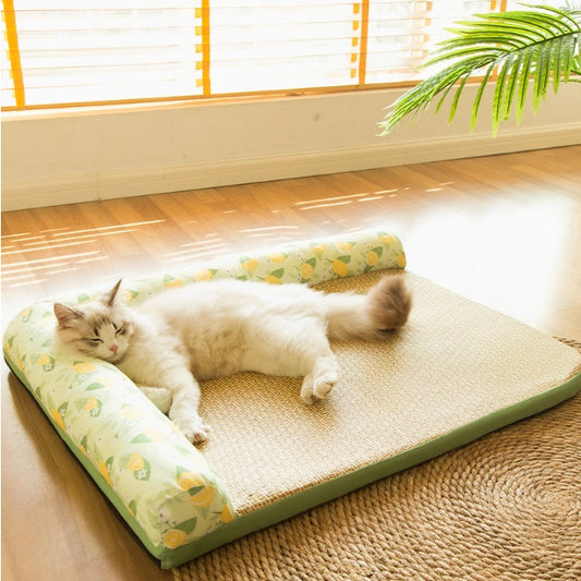 Cat lying on a cushioned mat with a pattern of lemons in a room with wooden flooring and a window.