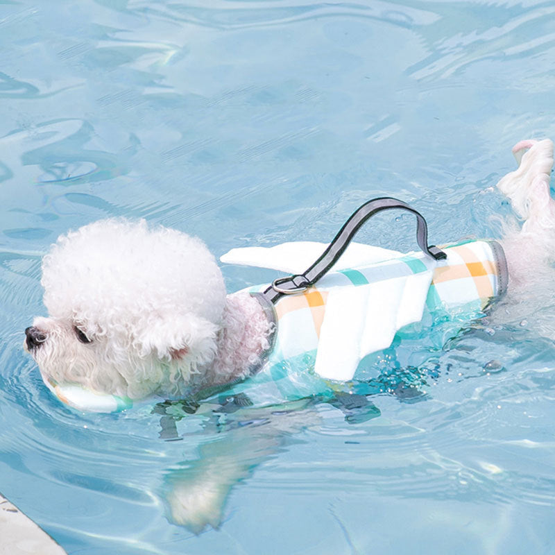 Small white dog swimming in a pool with a colorful floatation device.
