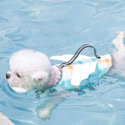 Small white dog swimming in a pool with a colorful floatation device.