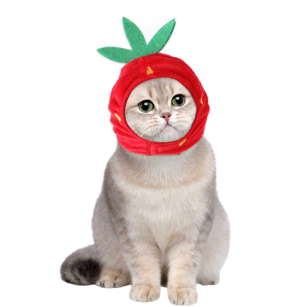 Cat wearing a red strawberry costume on a white background