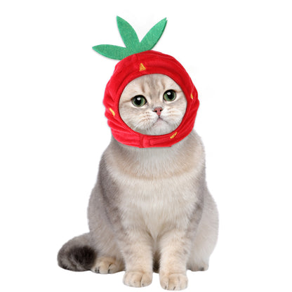 Cat wearing a red strawberry costume on a white background