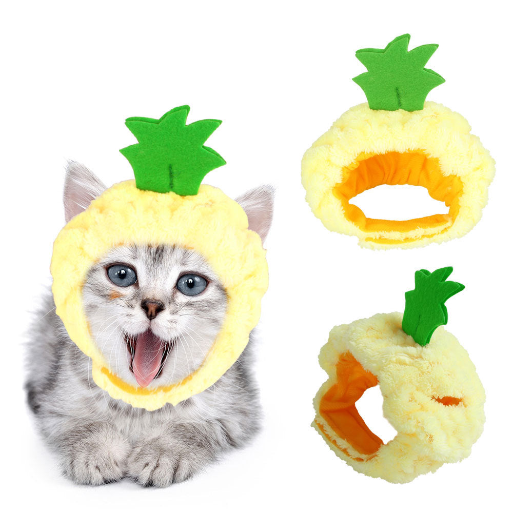 Cat wearing a pineapple costume with two additional pineapple-shaped toys on a white background