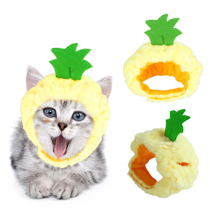 Cat wearing a pineapple costume with two additional pineapple-shaped toys on a white background