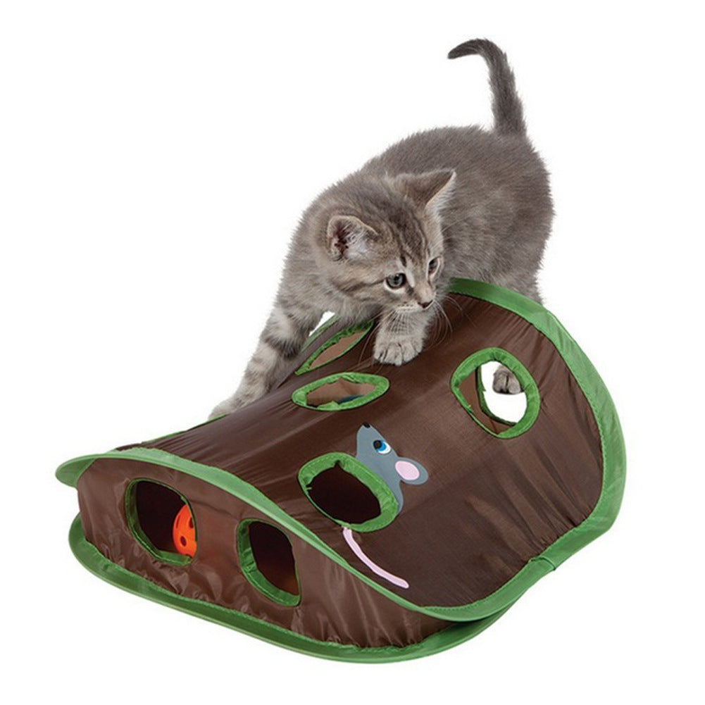 Kitten playing with a brown and green cat toy shaped like a snake on a white background