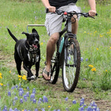 Person riding a bicycle with a dog walking beside them in a grassy field with flowers.