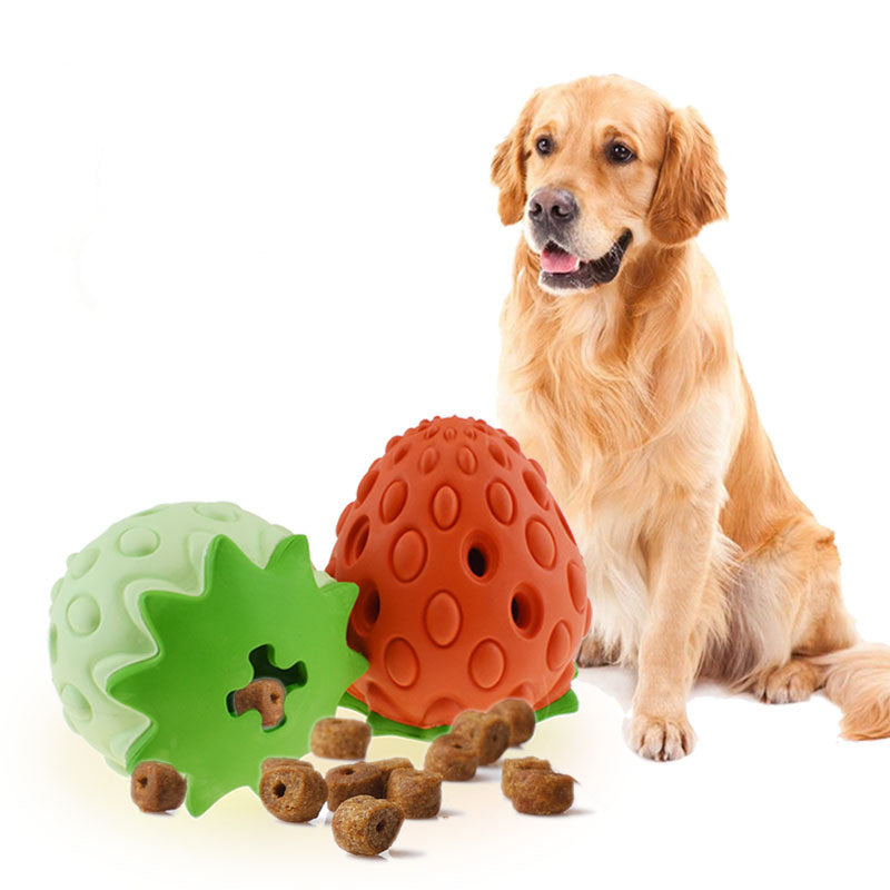 Dog Toys