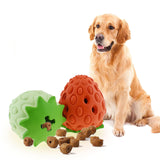 Dog sitting next to two dog toys and a pile of kibble on a white background
