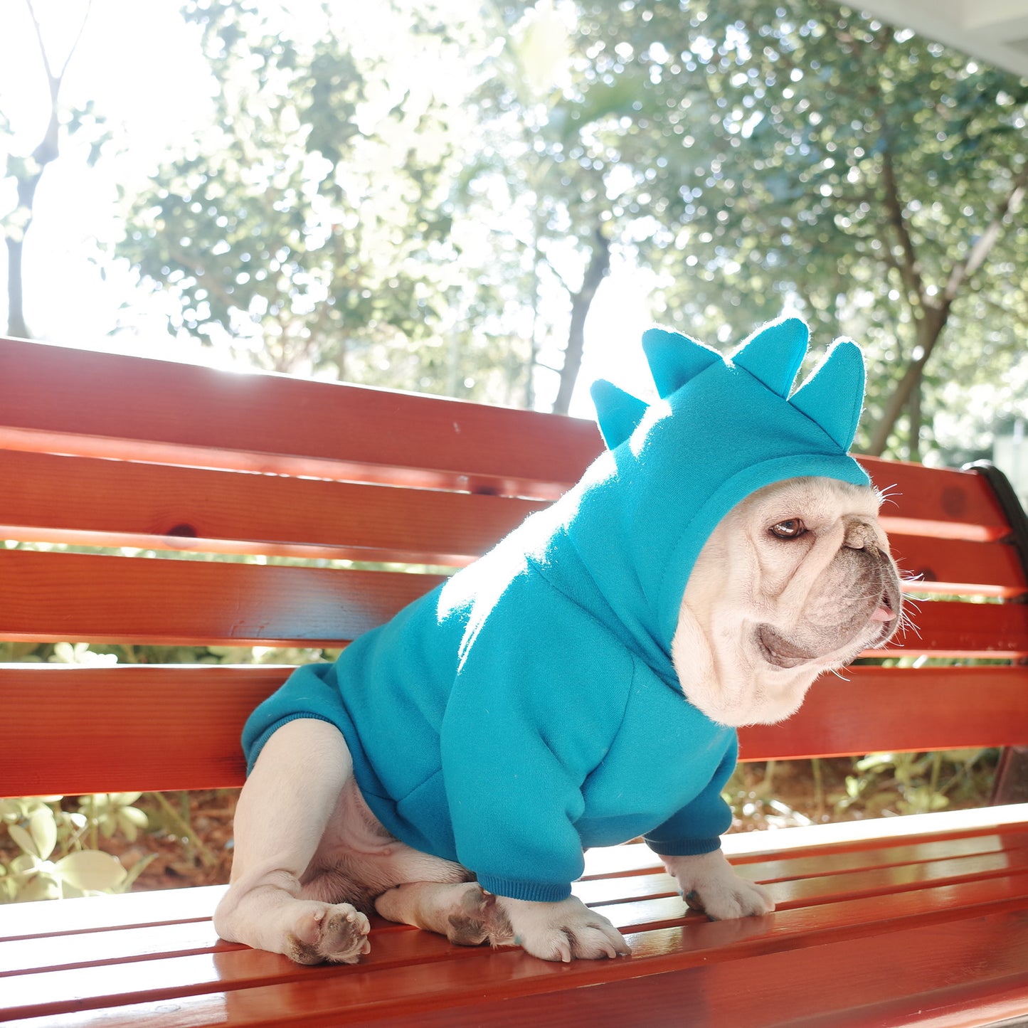 Dog wearing a blue dinosaur costume sitting on a red bench outdoors.