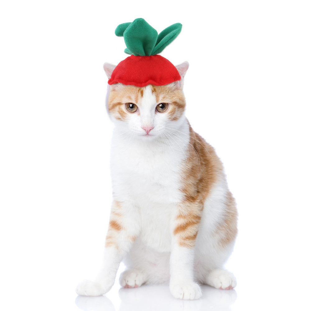 Cat wearing a red and green hat on a white background