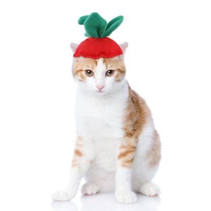 Cat wearing a red and green hat on a white background