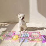 Small white dog sitting on a bed with colorful pet bowls in front of it.