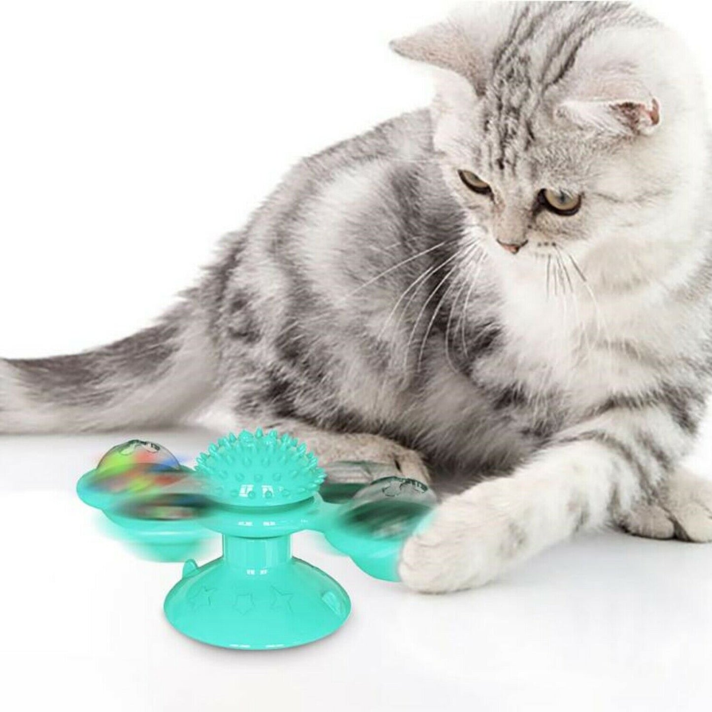 Cat playing with a green cat toy on a white background