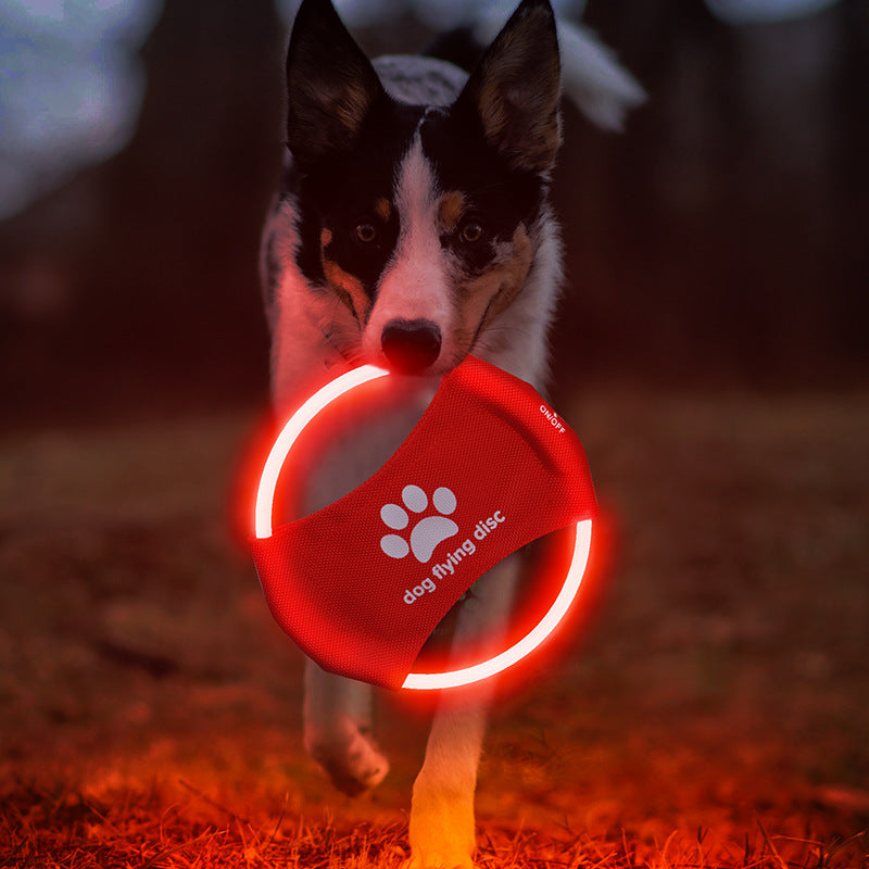 Dog playing with a glowing red dog flying disc on a grassy field.