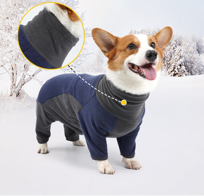 Dog wearing a winter coat with a close-up of the collar in a snowy background