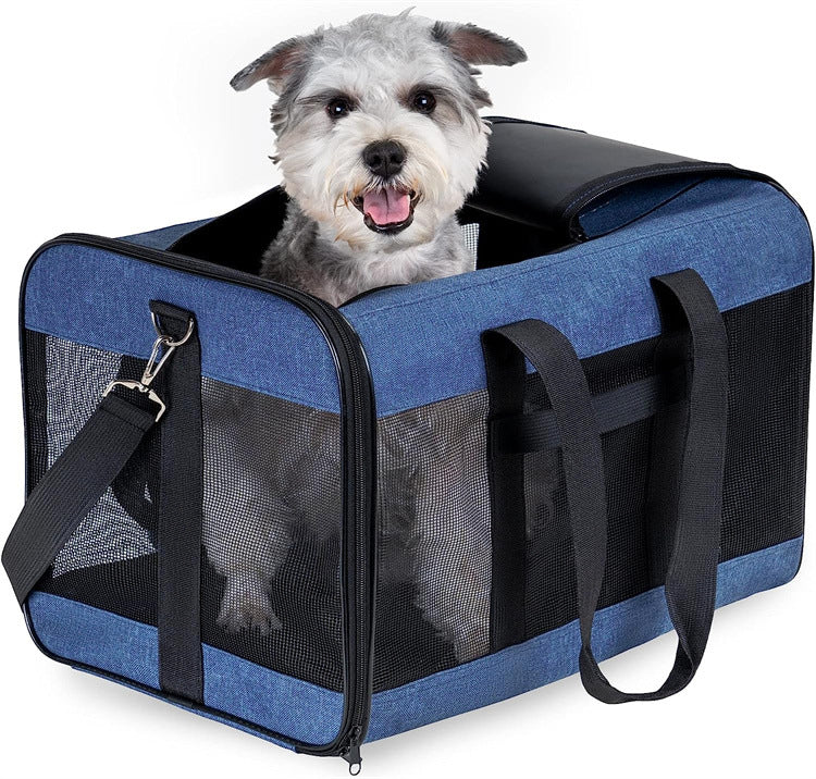 Dog inside a blue pet carrier with a white background
