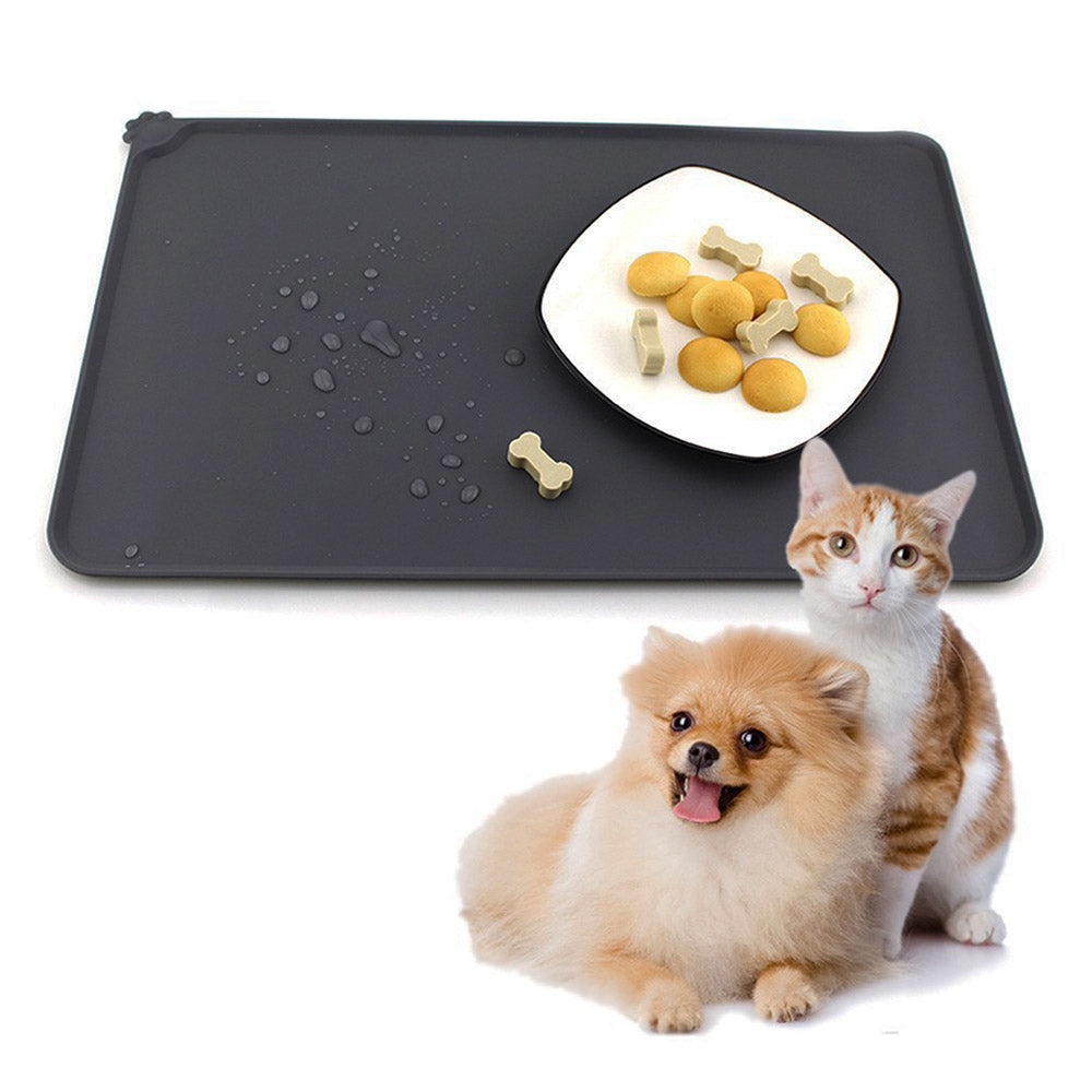 Cat Feeding Essentials