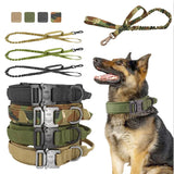 Dog collar and leash set with camouflage patterns on a white background