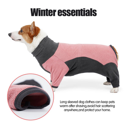 Dog wearing a pink and black long-sleeve dog coat with text about winter essentials.
