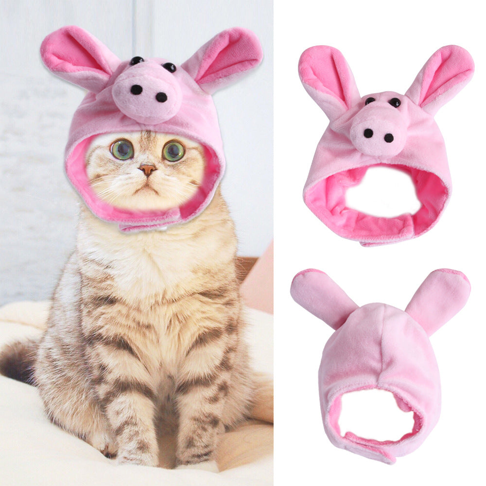 Cat wearing a pink bunny hat with detachable ears on a white background